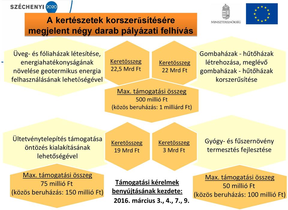 támogatási összeg 500 millió Ft (közös beruházás: 1 milliárd Ft) Gombaházak hűtőházak létrehozása, meglévő gombaházak hűtőházak korszerűsítése Ültetvénytelepítés támogatása öntözés