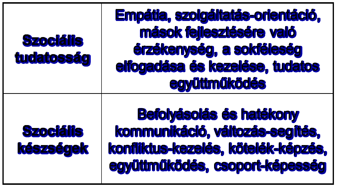 Érzelmi kompetenciák