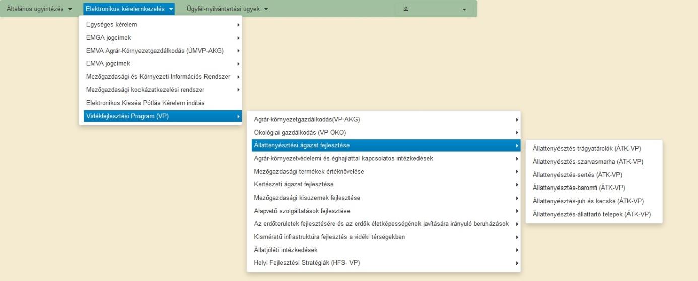 továbbá ellenőrizze, hogy a megfelelő személy neve szerepel-e a Képviselt cég vagy személy megnevezést követően.