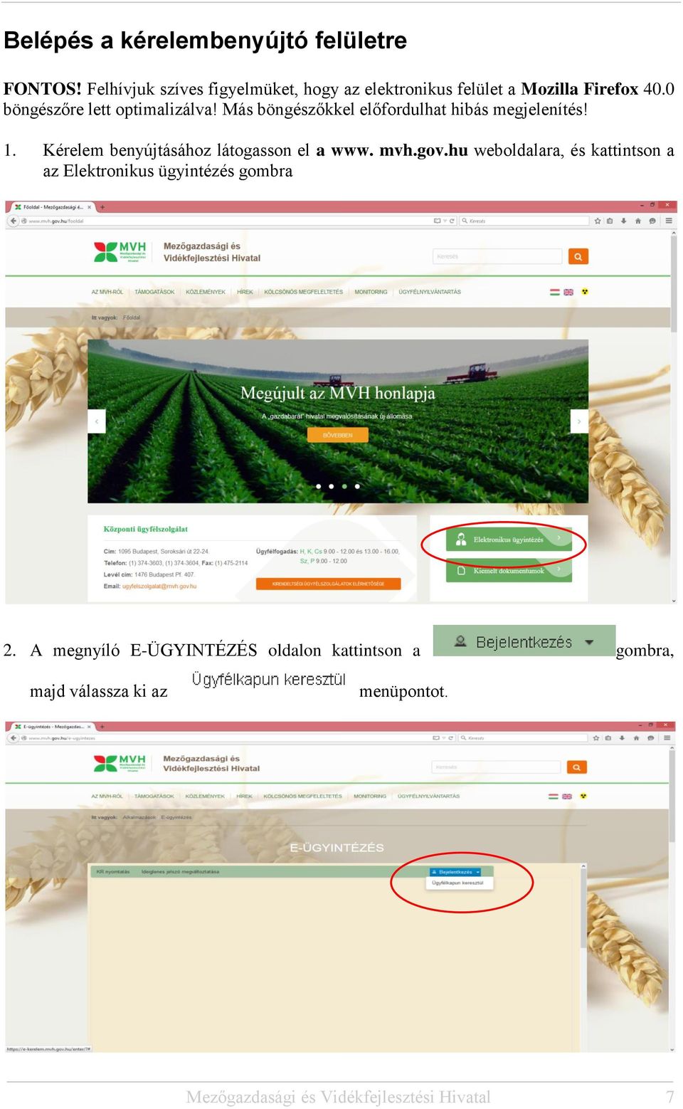 Más böngészőkkel előfordulhat hibás megjelenítés! 1. Kérelem benyújtásához látogasson el a www. mvh.gov.