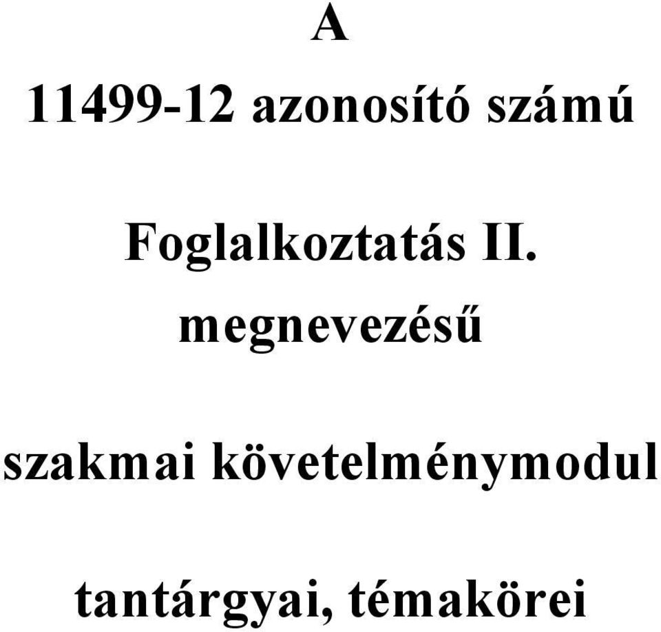 megnevezésű szakmai
