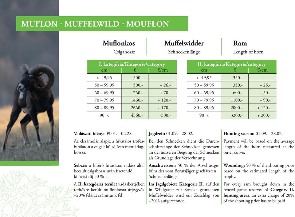 - 80 89,95 2000.- + 120.- 90 < 3200.- + 200.- Vadászati idény: 09.01. - 02.28. Jagdzeit: 01.09. - 28.02. Hunting season: 01.09. - 28.02. Az elszámolás alapja a hivatalos trófeabírálaton a csigák külső íven mért átlaghossza.