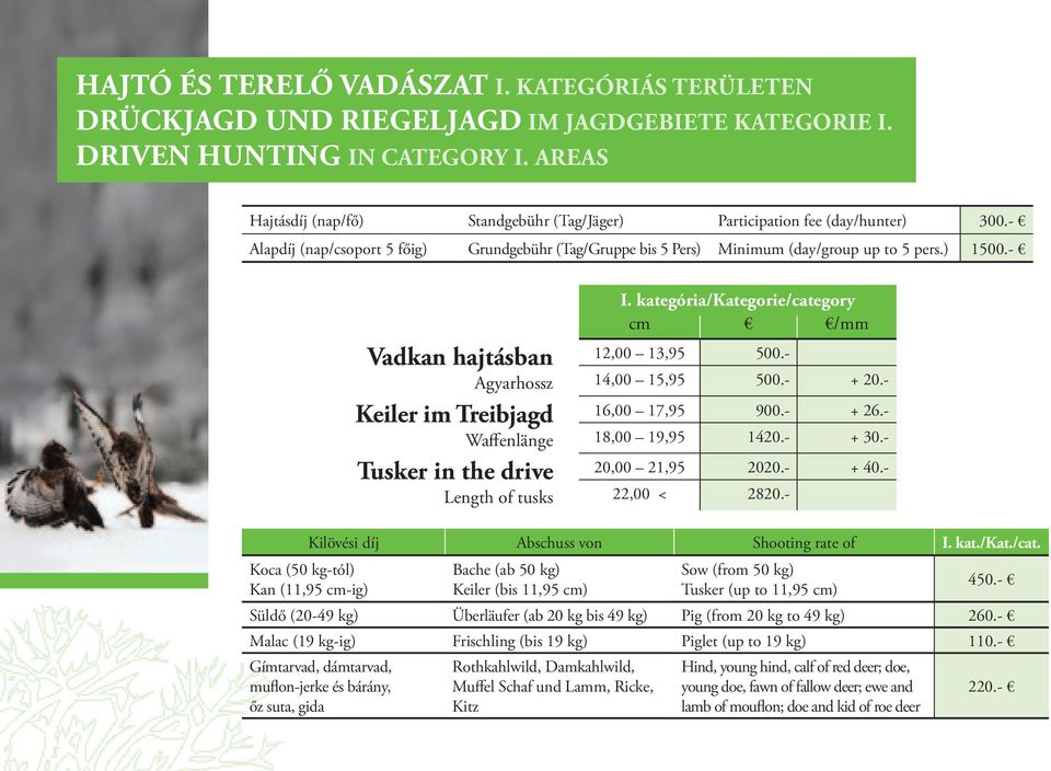 - Vadkan hajtásban Agyarhossz Keiler im Treibjagd Waffenlänge Tusker in the drive Length of tusks I. kategória/kategorie/category cm /mm 12,00 13,95 500.- 14,00 15,95 500.- + 20.- 16,00 17,95 900.