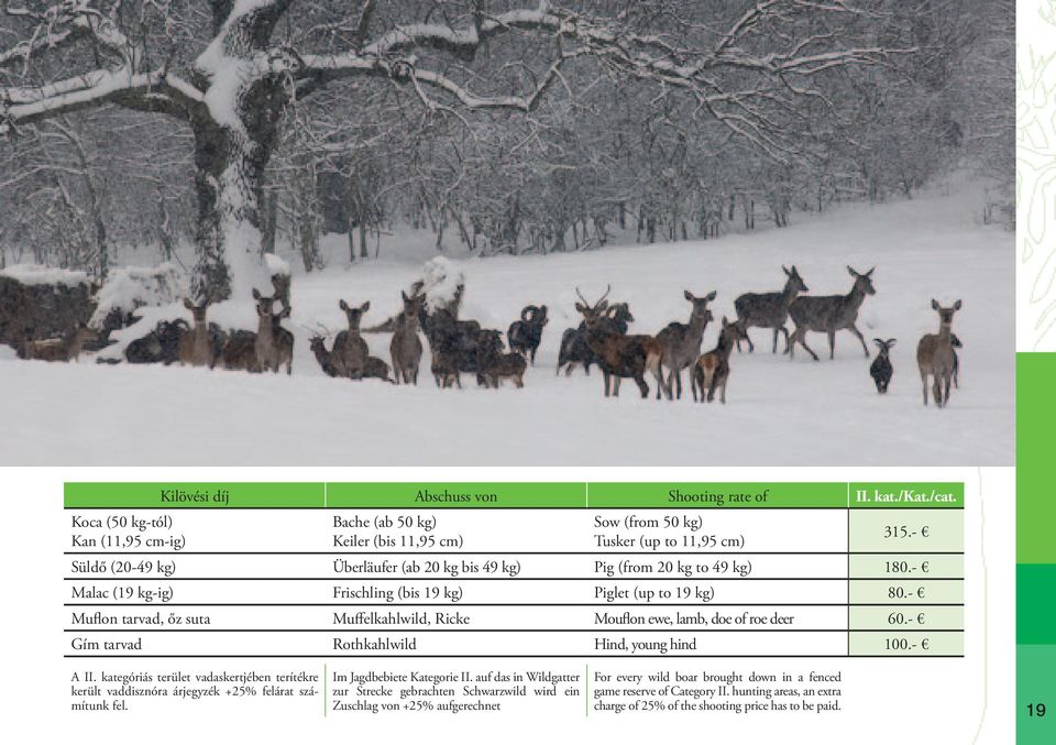 - Muflon tarvad, őz suta Muffelkahlwild, Ricke Mouflon ewe, lamb, doe of roe deer 60.- Gím tarvad Rothkahlwild Hind, young hind 100.- A II.