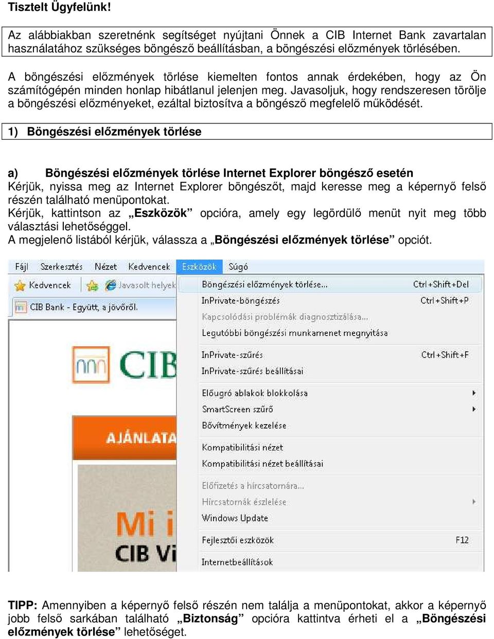 Javasoljuk, hogy rendszeresen törölje a böngészési elızményeket, ezáltal biztosítva a böngészı megfelelı mőködését.