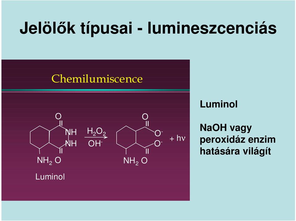 2 OH - NH 2 O = = O O - O - + hν Luminol