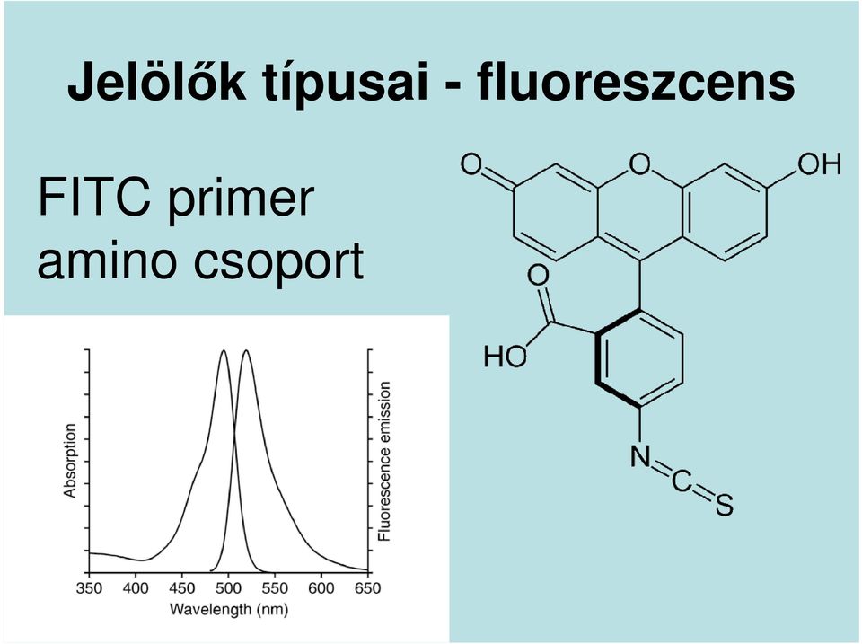 fluoreszcens