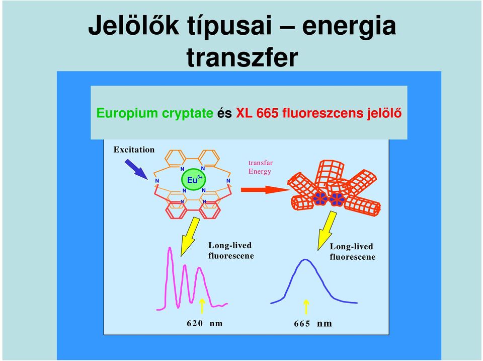 N Eu 3+ N N N transfar Energy N N Long-lived fluorescene