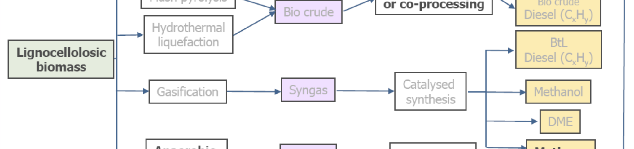 Biofuel