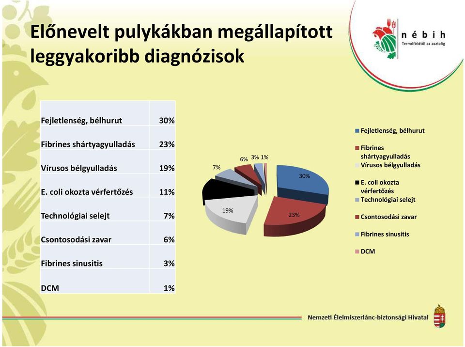 coli okozta vérfertőzés 11% 7% 11% 6% 3% 1% 30% Fibrines shártyagyulladás Vírusos bélgyulladás E.