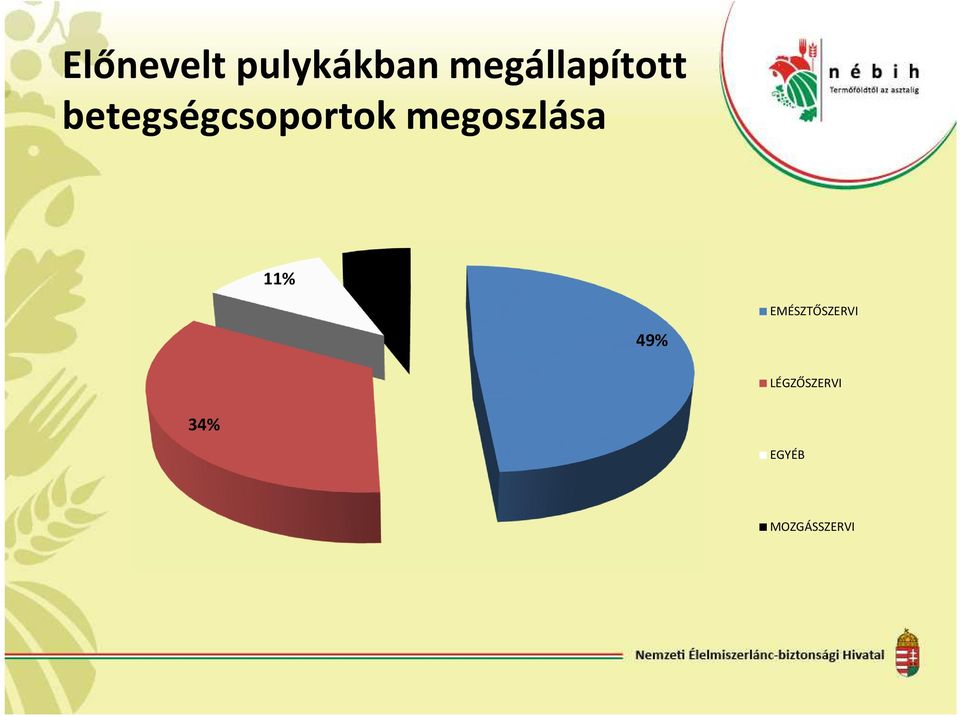 betegségcsoportok megoszlása