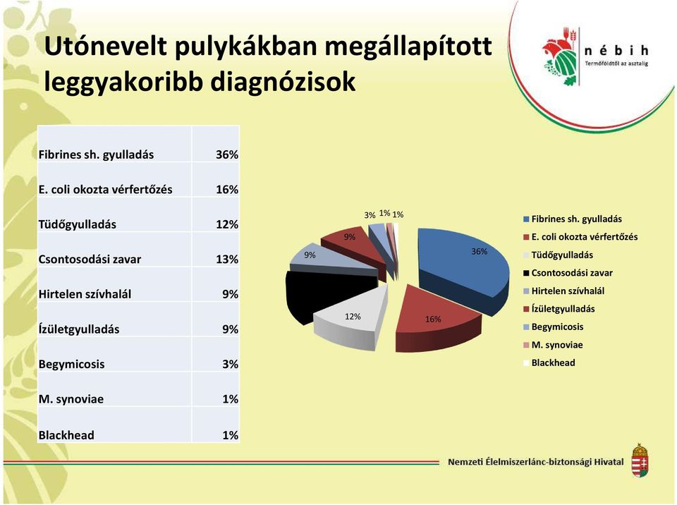 9% 13% 9% 9% 12% 3% 1% 1% 16% 36% Fibrines sh. gyulladás E.