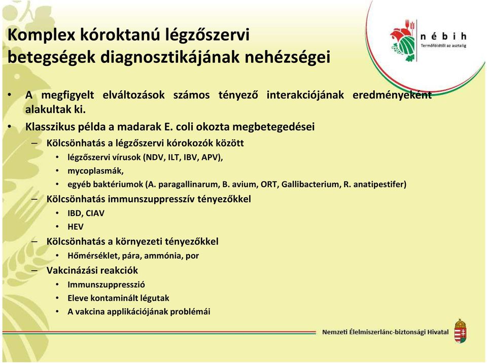 coli okozta megbetegedései Kölcsönhatás a légzőszervi kórokozók között légzőszervi vírusok(ndv, ILT, IBV, APV), mycoplasmák, egyéb baktériumok(a.