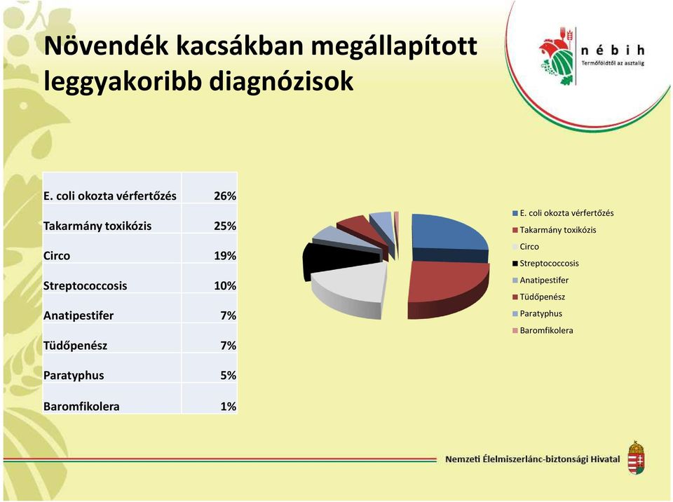 10% Anatipestifer 7% Tüdőpenész 7% E.