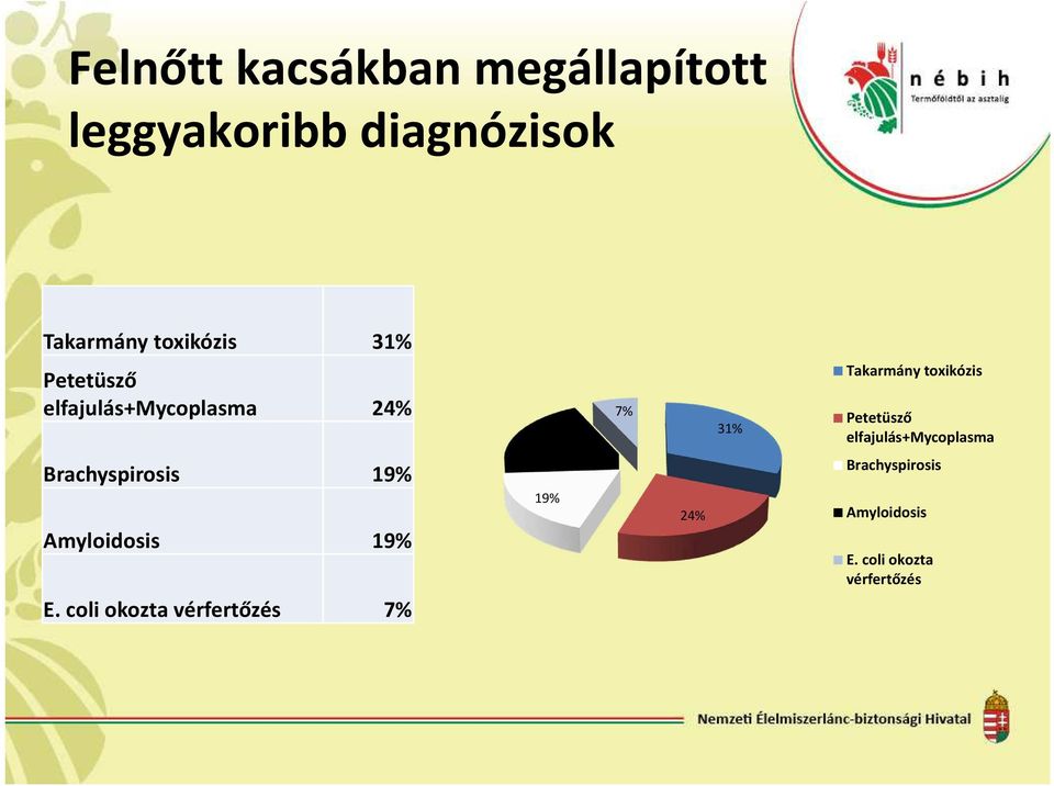 toxikózis Petetüsző elfajulás+mycoplasma Brachyspirosis 19% Amyloidosis 19%