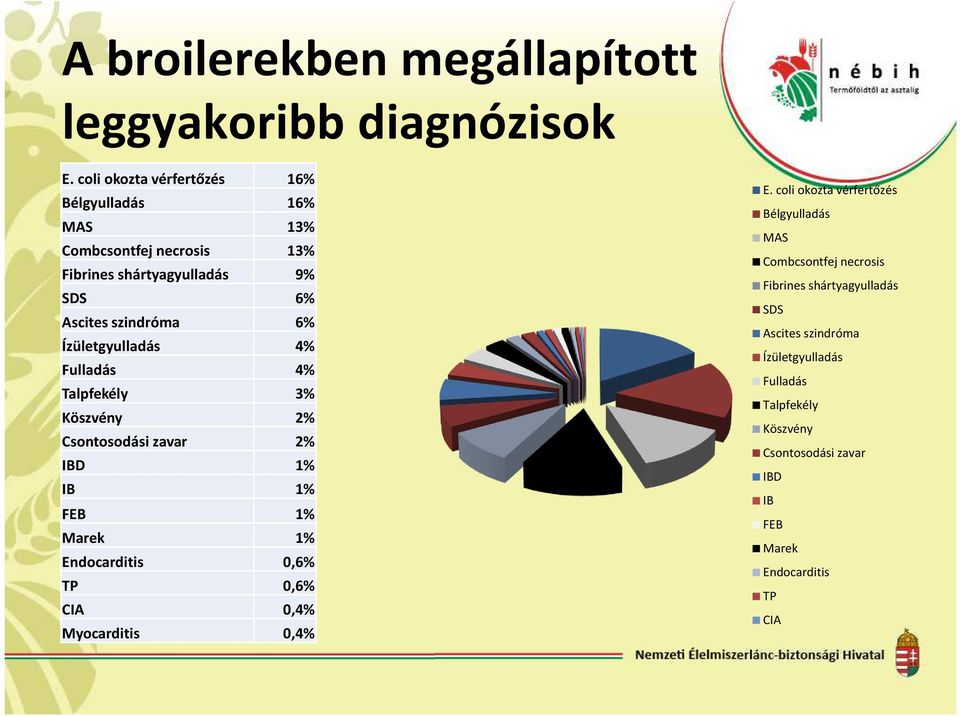 Ízületgyulladás 4% Fulladás 4% Talpfekély 3% Köszvény 2% Csontosodási zavar 2% IBD 1% IB 1% FEB 1% Marek 1% Endocarditis 0,6% TP 0,6% CIA