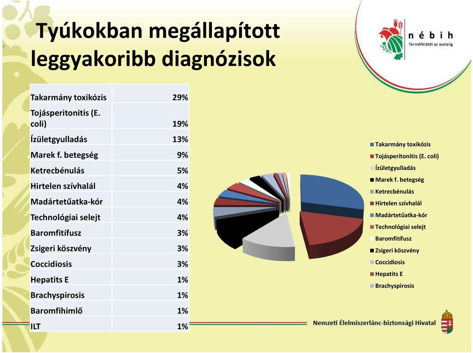 Coccidiosis 3% Hepatits E 1% Brachyspirosis 1% Baromfihimlő 1% ILT 1% Takarmány toxikózis Tojásperitonitis (E.
