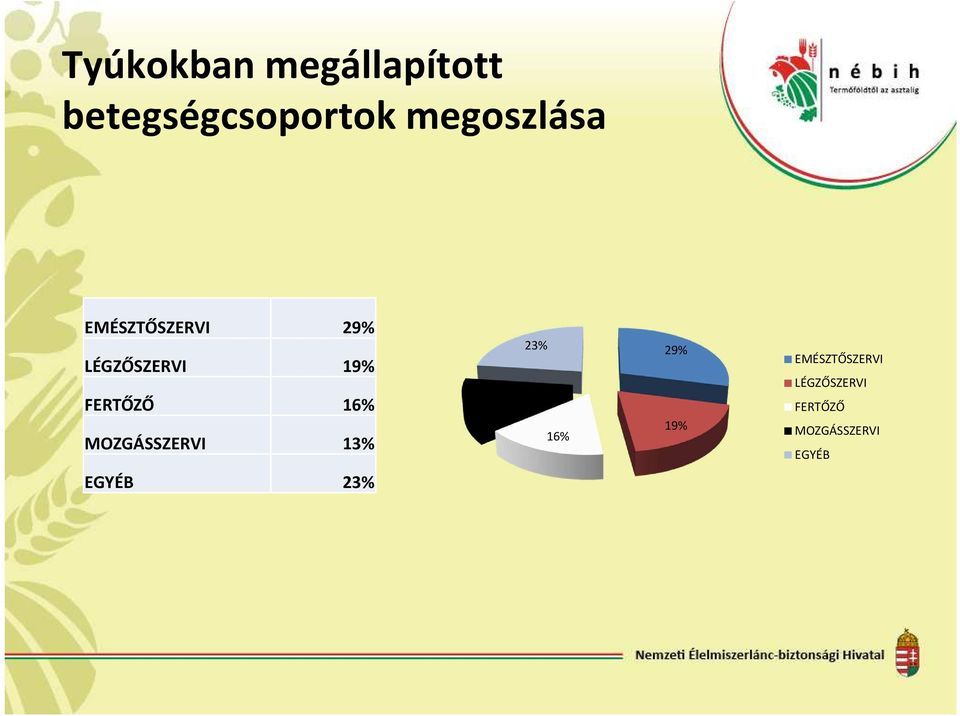 FERTŐZŐ 16% MOZGÁSSZERVI 13% 13% 23% 16% 29% 19%