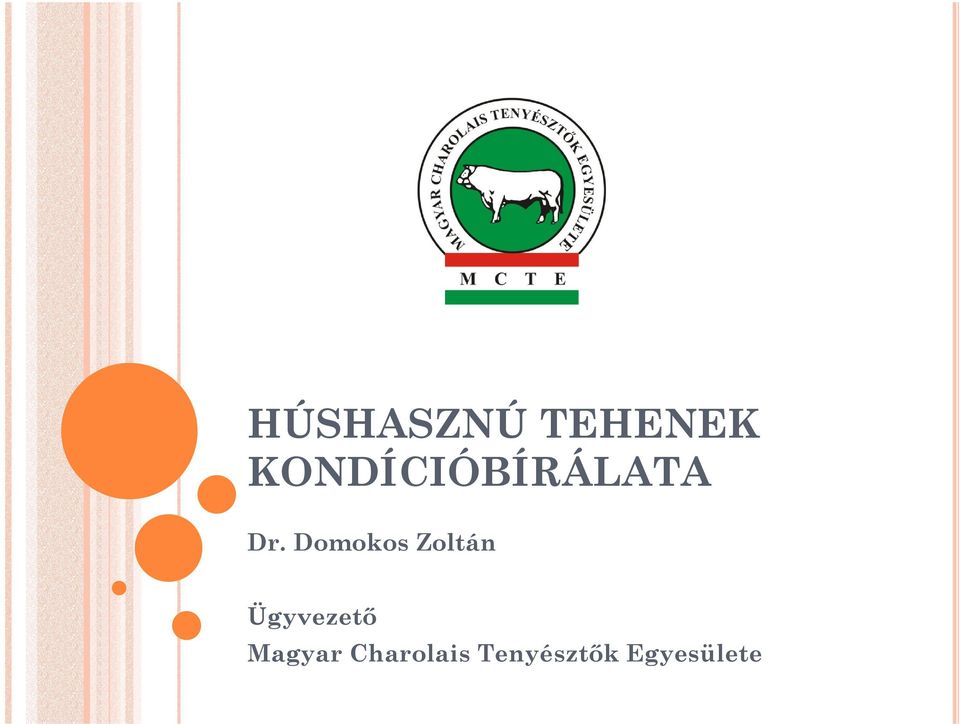 Domokos Zoltán Ügyvezetı