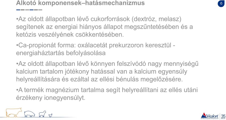 Ca-propionát forma: oxálacetát prekurzoron keresztül - energiaháztartás befolyásolása Az oldott állapotban lévő könnyen felszívódó nagy