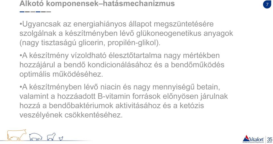 A készítmény vízoldható élesztőtartalma nagy mértékben hozzájárul a bendő kondicionálásához és a bendőműködés optimális