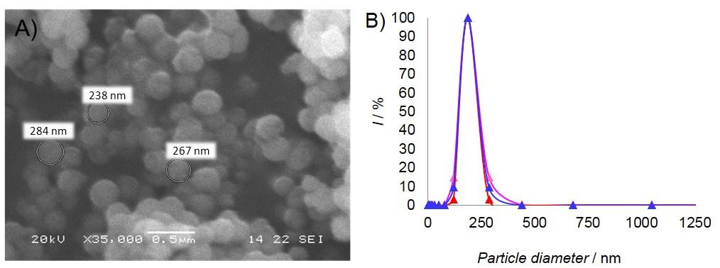 (25 C, 450 rpm). The MNP-PAL particles were fixed at the bottom of the flask with a neodymium magnet and the supernatant was decanted.