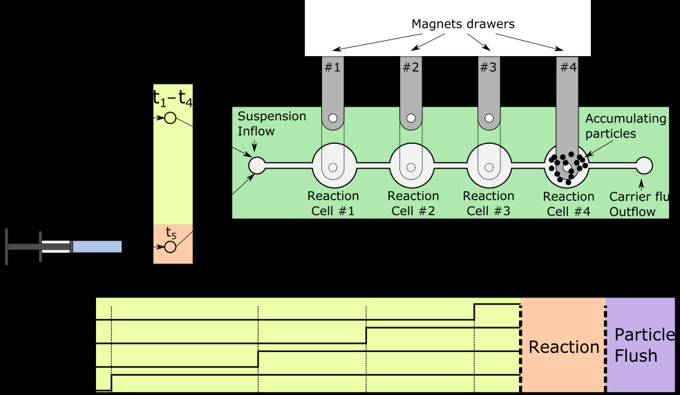 The MNP-PAL was dried in vacuum at room temperature for 2 h. After immobilization, negligible protein contents in the supernatants of the washing procedure were determined by the Bradford assay.