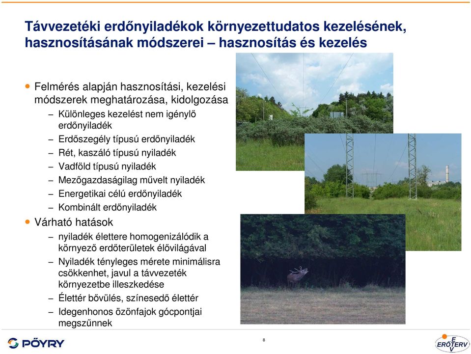 Mezőgazdaságilag művelt nyiladék Energetikai célú erdőnyiladék Kombinált erdőnyiladék Várható hatások nyiladék élettere homogenizálódik a környező erdőterületek