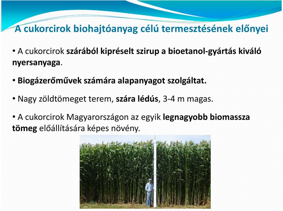Biogázerőművek számára alapanyagot szolgáltat.