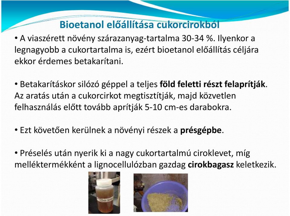 Betakarításkor silózó géppel a teljes föld feletti részt felaprítják.