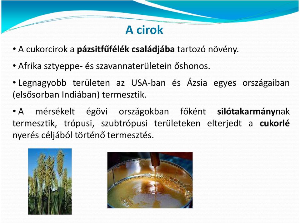 Legnagyobb területen az USA-ban és Ázsia egyes országaiban (elsősorban Indiában)