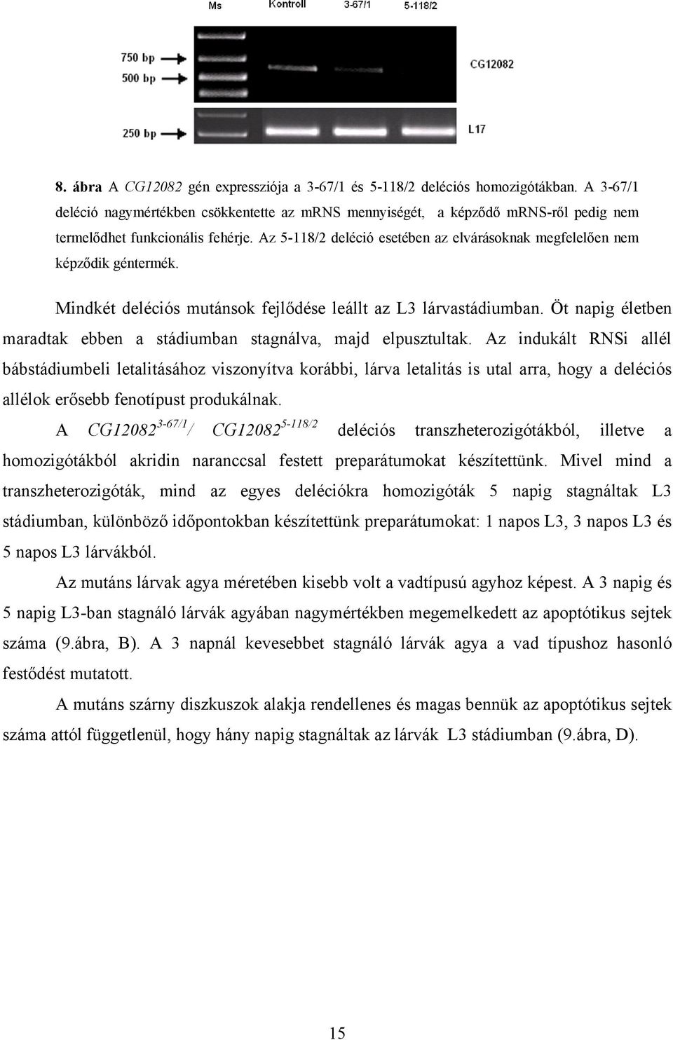 Öt napig életben maradtak ebben a stádiumban stagnálva, majd elpusztultak.