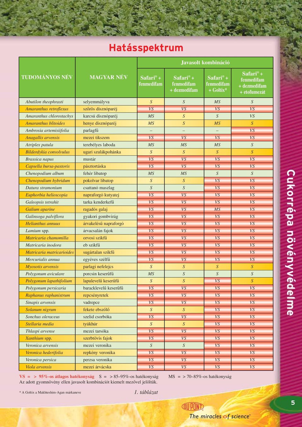 artemisiifolia parlagfû VS Anagallis arvensis mezei tikszem VS VS VS VS Atriplex patula terebélyes laboda MS MS MS S Bilderdykia convolvulus ugari szulákpohánka S S S S Brassica napus mustár VS VS VS