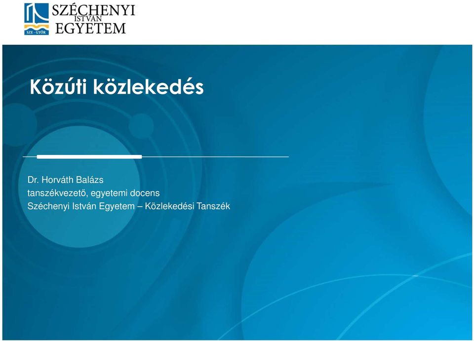 tanszékvezető, egyetemi
