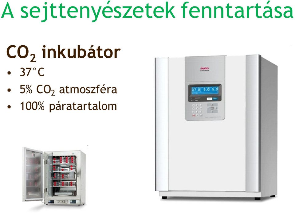 inkubátor 37 C 5% CO