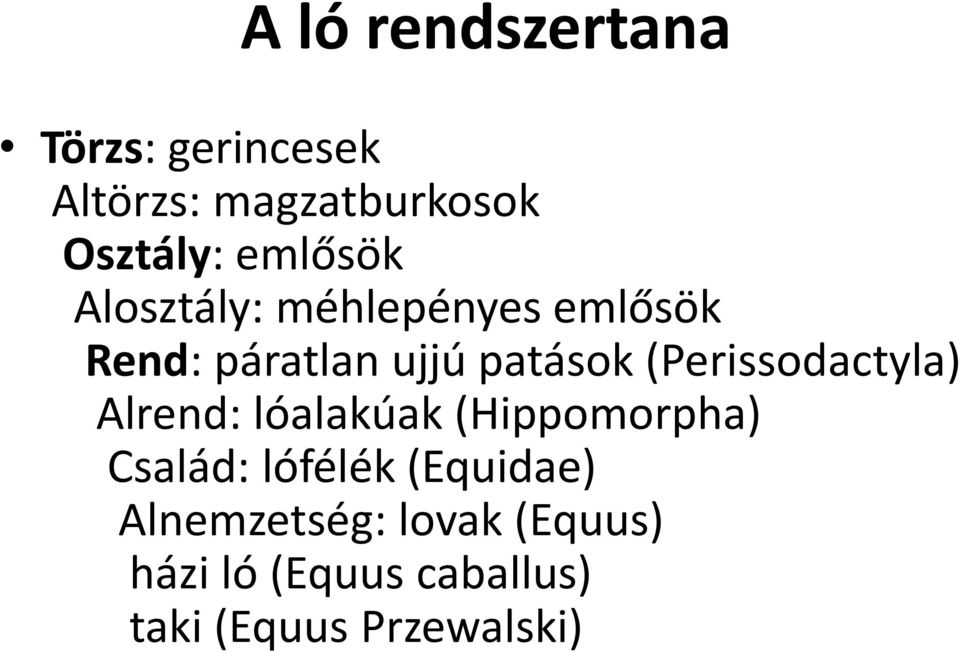 (Perissodactyla) Alrend: lóalakúak (Hippomorpha) Család: lófélék