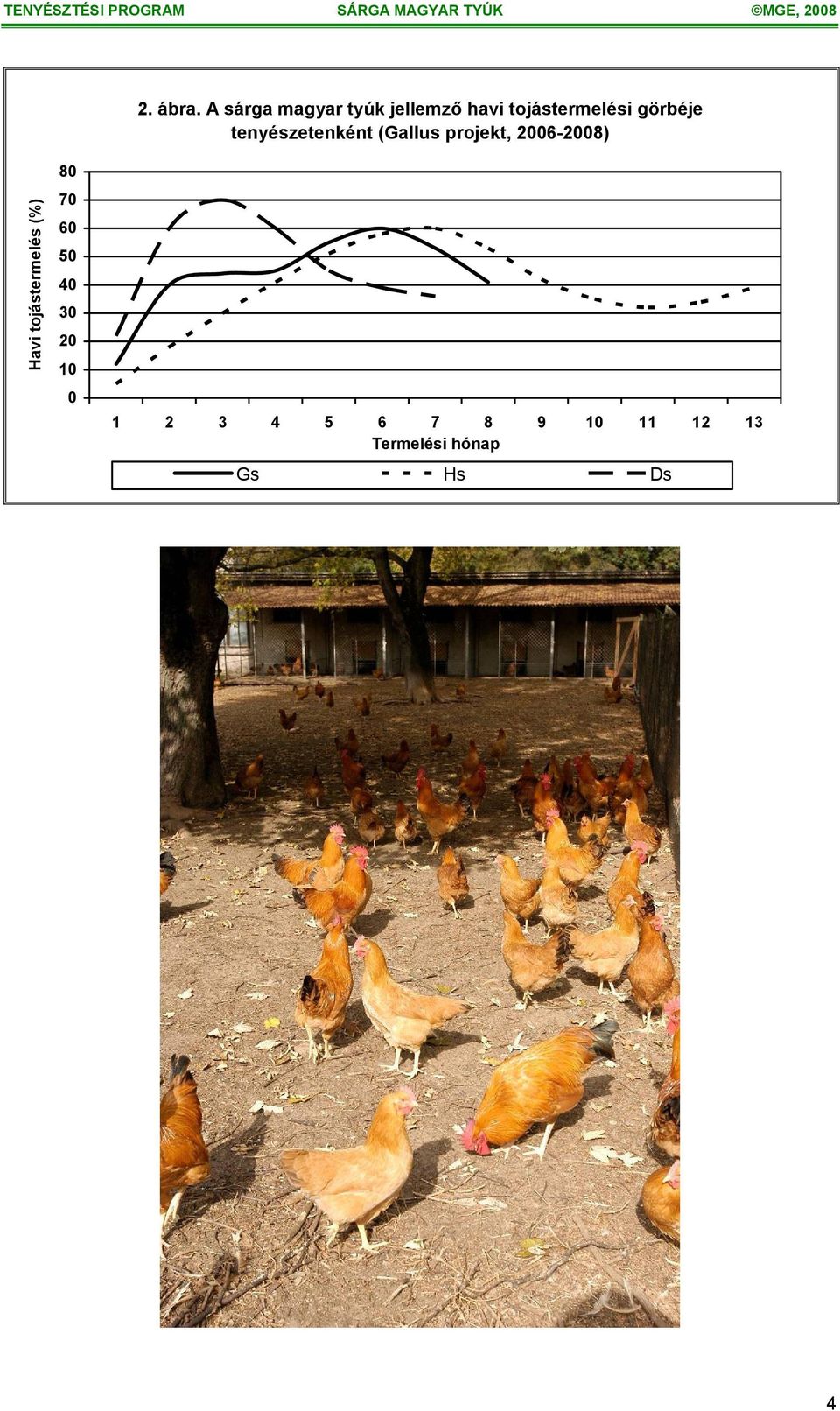 görbéje tenyészetenként (Gallus projekt, 2006-2008)