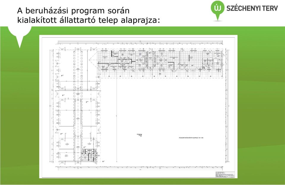 kialakított