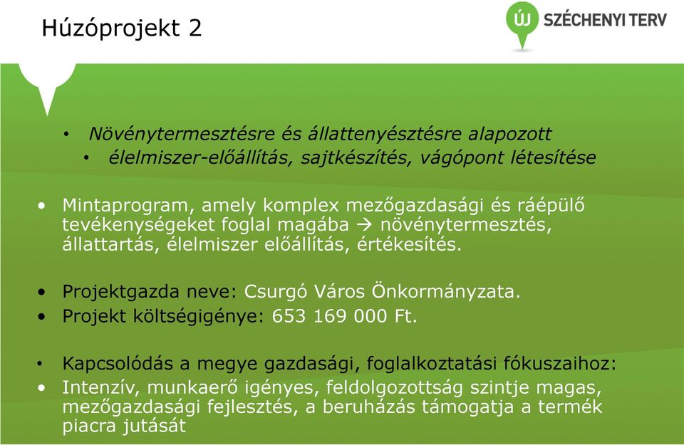 Projektgazda neve: Csurgó Város Önkormányzata. Projekt költségigénye: 653 169 000 Ft.