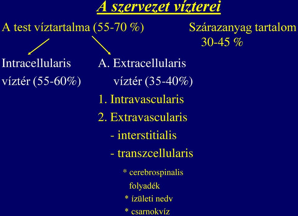 Extracellularis víztér (55-60%) víztér (35-40%) 1. Intravascularis 2.