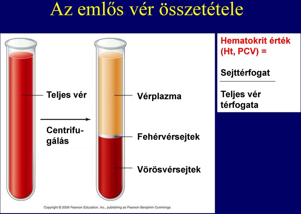 vér Vérplazma Teljes vér térfogata