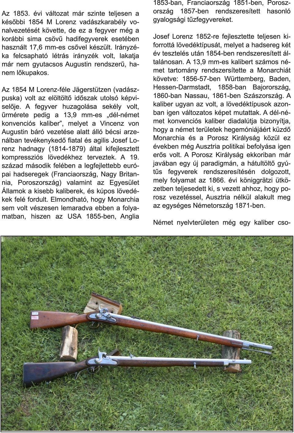 Irányzéka felcsapható létrás irányzék volt, lakatja már nem gyutacsos Augustin rendszerű, hanem lőkupakos.