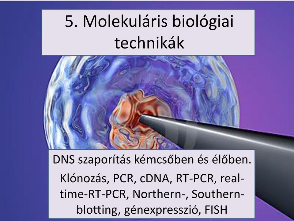 Klónozás, PCR, cdna, RT-PCR,