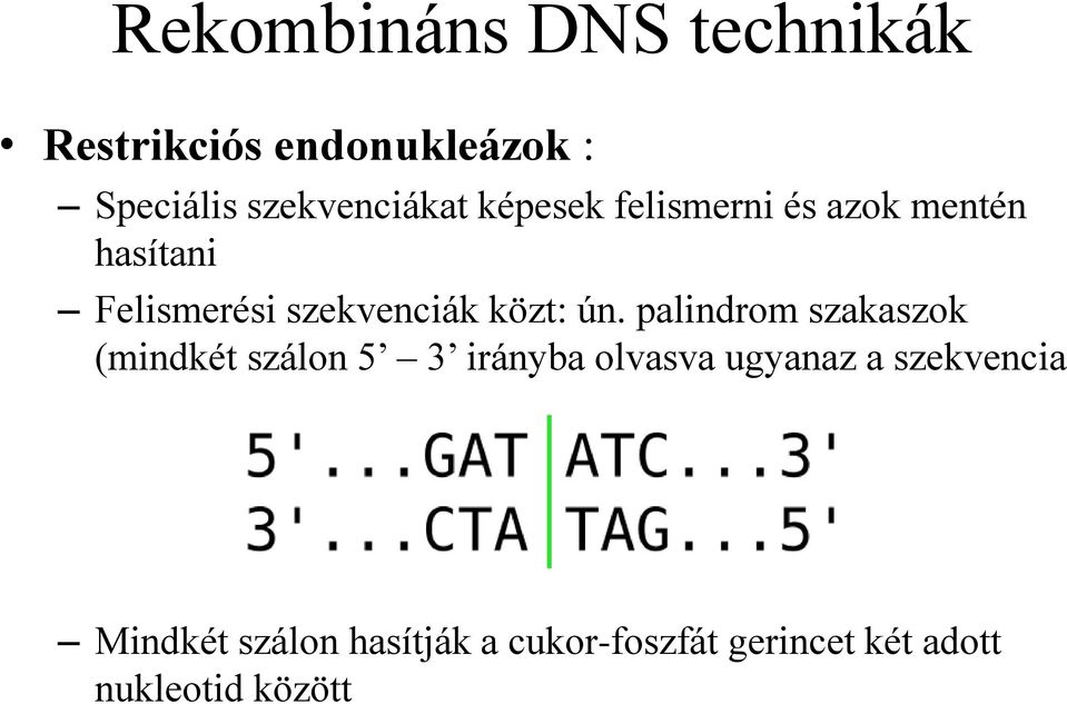 szekvenciák közt: ún.