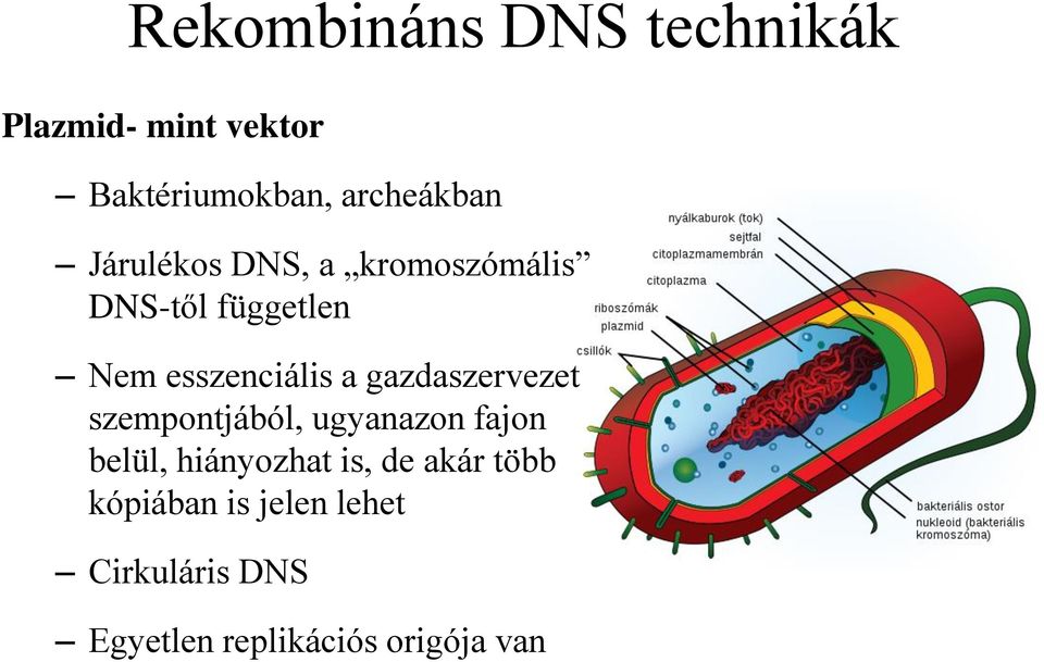 gazdaszervezet szempontjából, ugyanazon fajon belül, hiányozhat is, de