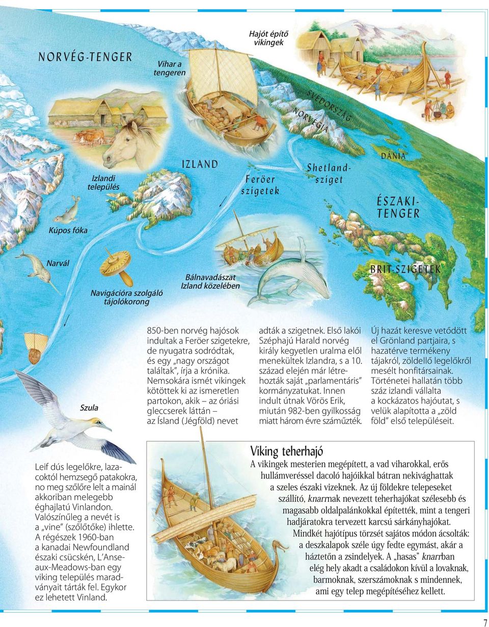 Nemsokára ismét vikingek kötöttek ki az ismeretlen partokon, akik az óriási gleccserek láttán az Ísland (Jégföld) nevet adták a szigetnek.
