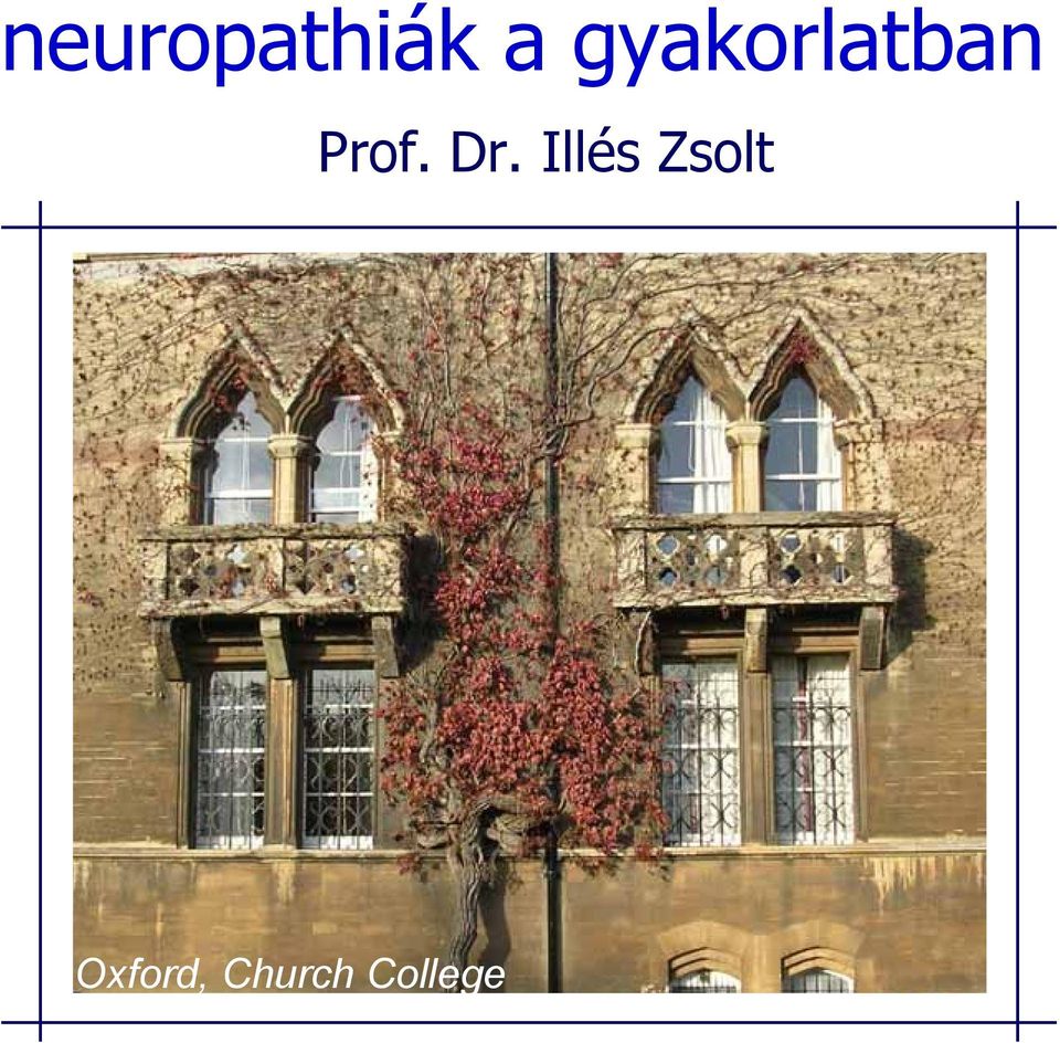 Dr. Illés Zsolt