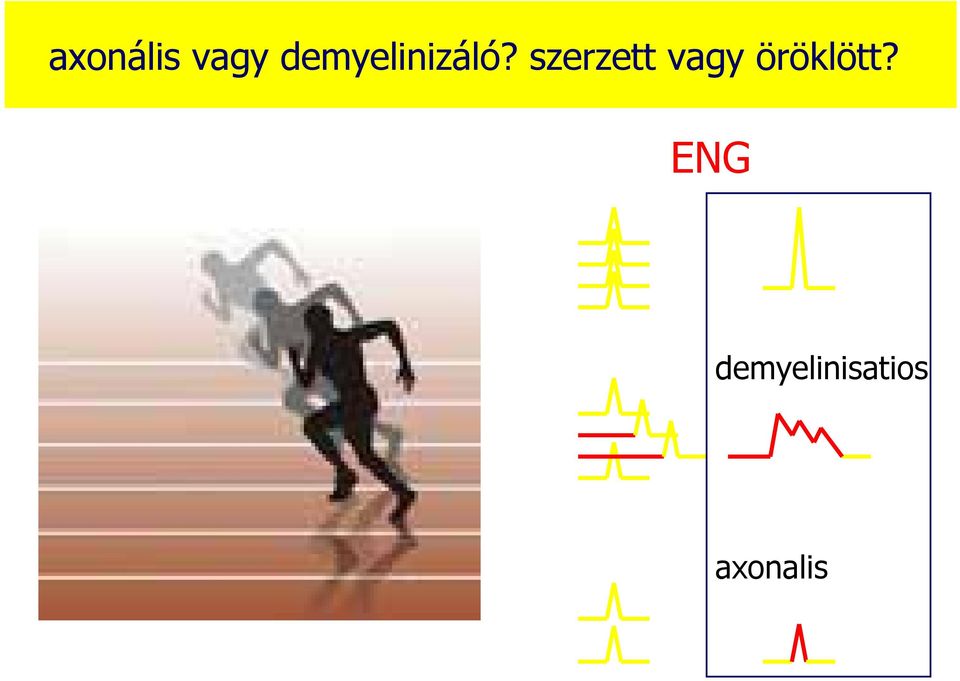 szerzett vagy