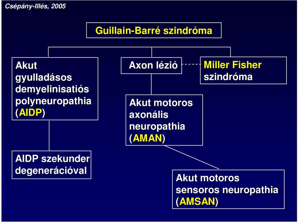 Akut motoros axonális neuropathia (AMAN) Miller Fisher