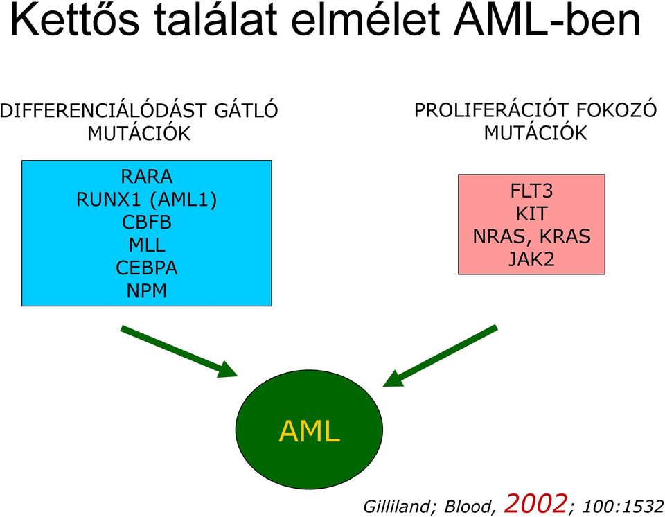 MUTÁCIÓK RARA RUNX1 (AML1) CBFB MLL CEBPA NPM